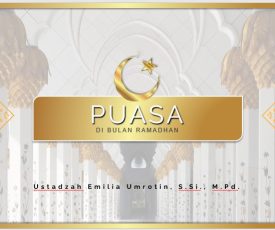 WhatsApp Image 2025-02-26 at 09.31.26