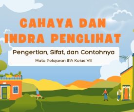 WhatsApp Image 2026-01-27 at 07.59.20 WhatsApp Image 2026-01-27 at 07.59.20