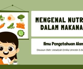 WhatsApp Image 2026-08-26 at 10.54.04