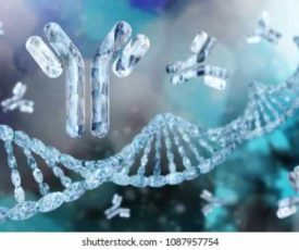 antibodies-immunoglobulins-dna-3d-rendering-260nw-1087957754 antibodies-immunoglobulins-dna-3d-rendering-260nw-1087957754