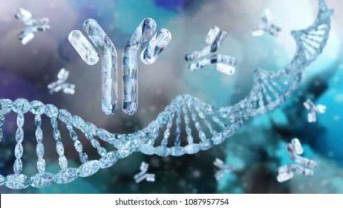 antibodies-immunoglobulins-dna-3d-rendering-260nw-1087957754