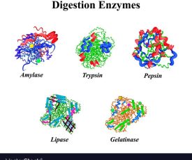 b07349d8fdf78d0ab3b8caac3432f679