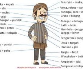 Pangertin Basa Lan uga njelasake ngenani perangane Basa