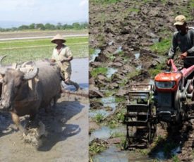 bentuk perubahan sosial