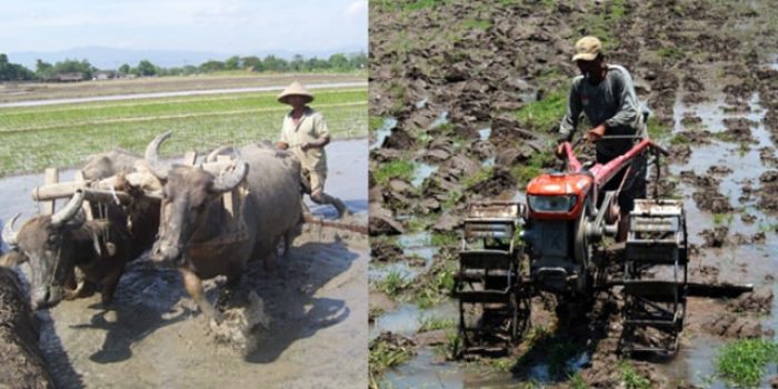 bentuk perubahan sosial