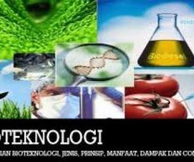 bioteknologi