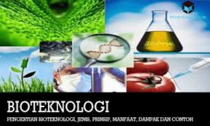 bioteknologi