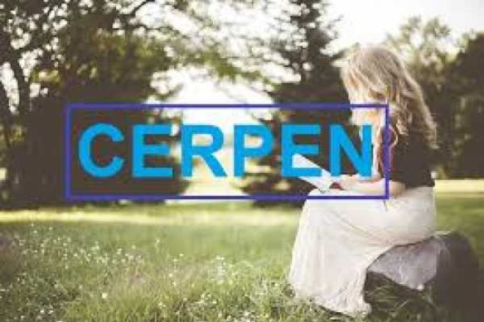 cerpen_2