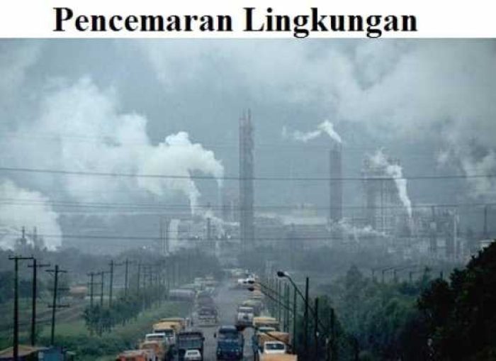 cover_pencemaran_lingkungan