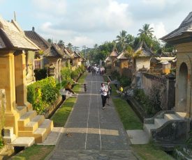desa