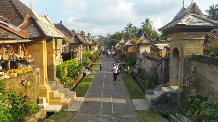 desa