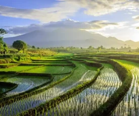 ilustrasi-jaga-alam-indonesia-pariwisata-dengan-pemandangan