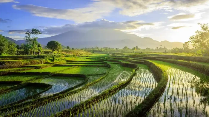 ilustrasi-jaga-alam-indonesia-pariwisata-dengan-pemandangan