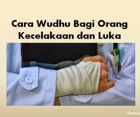 images-97114562801839991719