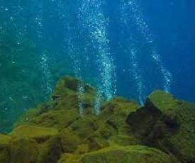 images3