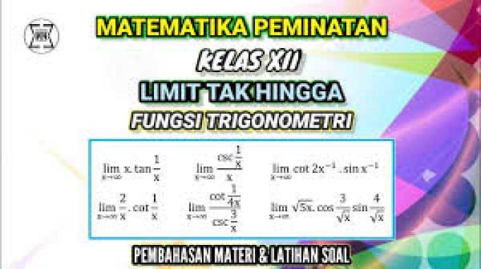 images8