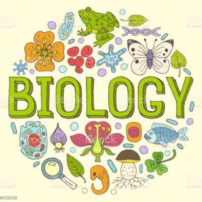 istockphoto-893472990-1024x1024