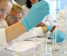 kerja_lab