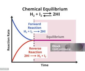 Vector scientific graph or chart of chemical equilibrium – forward reaction and reverse or backward reaction isolated on white background. Reversible chemical reaction. The rate of the forward reaction is equal to the reverse reaction.