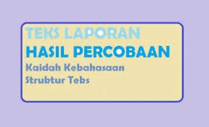 lap__teks