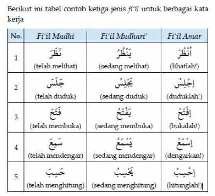 macam-macam-fiil-1