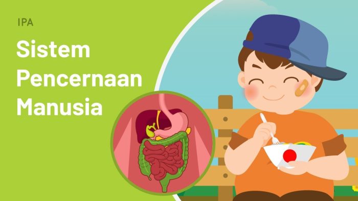 makanan