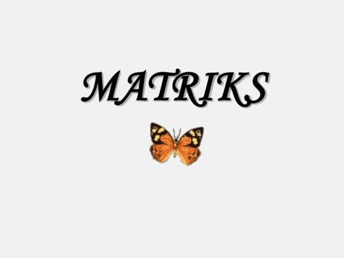 matriks