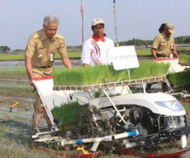 modernisasi-pertanian-Demak