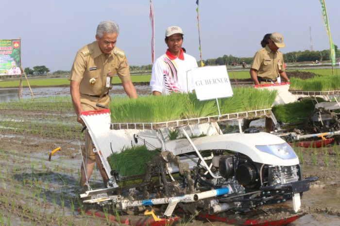 modernisasi-pertanian-Demak