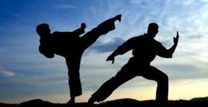 pencak silat