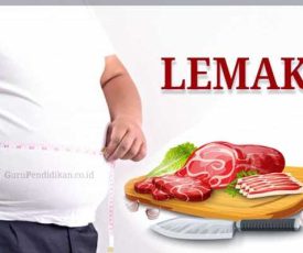 pengertian-lemak