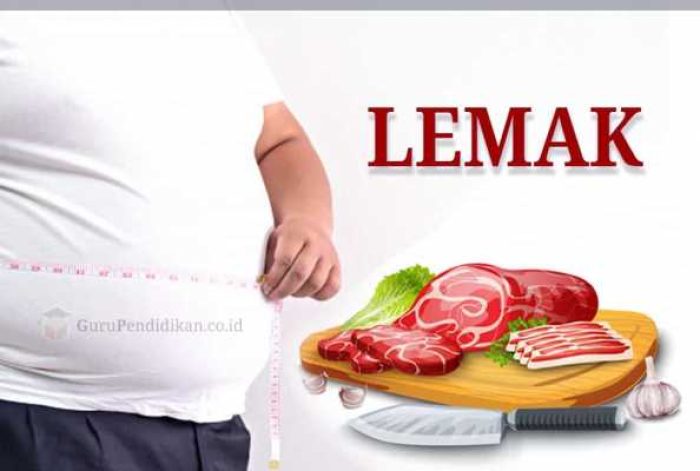 pengertian-lemak
