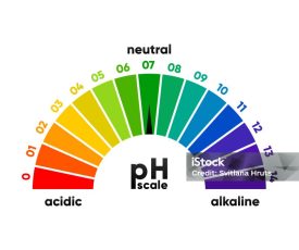 PH scale meter for acidic and alkaline solutions. Acid-base balance scale. Chemical test. Vector illustration