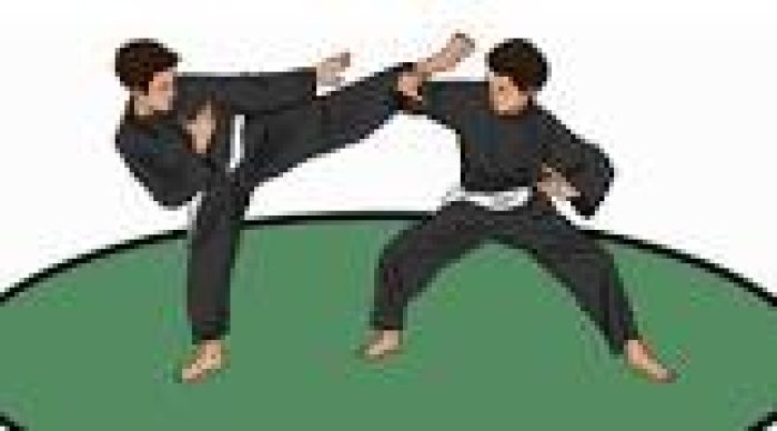 silat 7