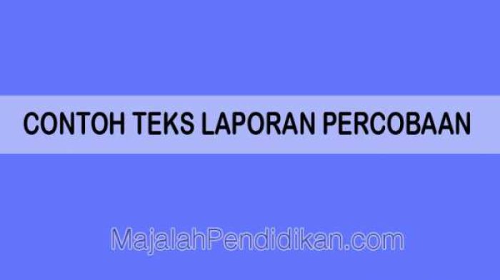soal_LP