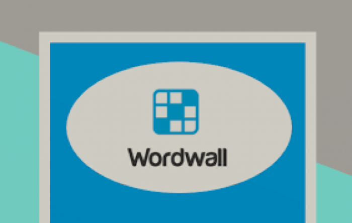 world_wall